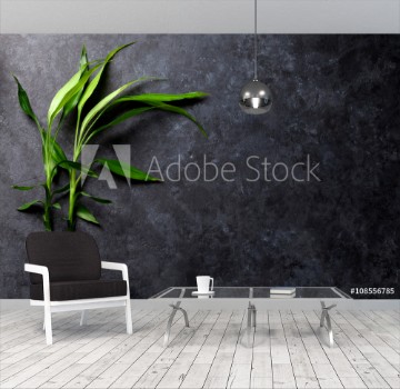 Picture of Bamboo plant over stone